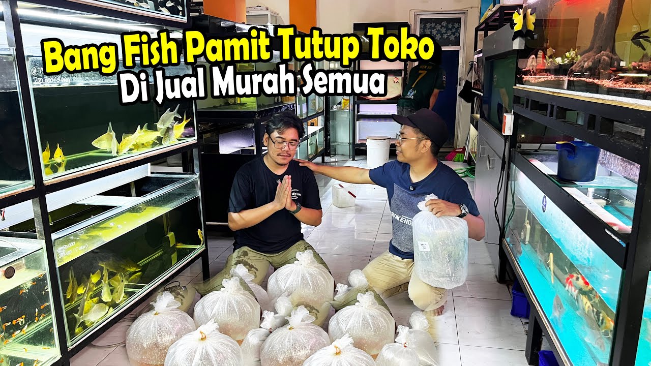 Cara Beli Tiket Pameran Seni Citimall Cilacap: Panduan Praktis untuk Warga Lokal